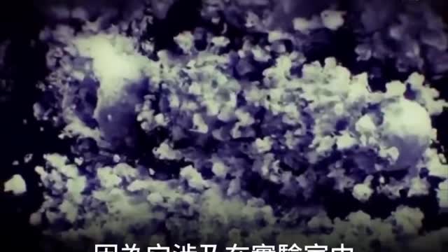 20210604 武漢肺炎病毒,是中國科學家製造的!