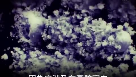 20210604 武漢肺炎病毒，是中國科學家製造的！