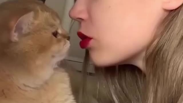 Cute cat kisses 💋 me