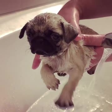 Not a right time for taking a bath