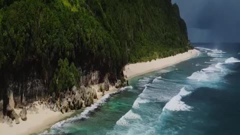 Morning Beauty with Nature and Music #shorts #meditation #relaxing #nature