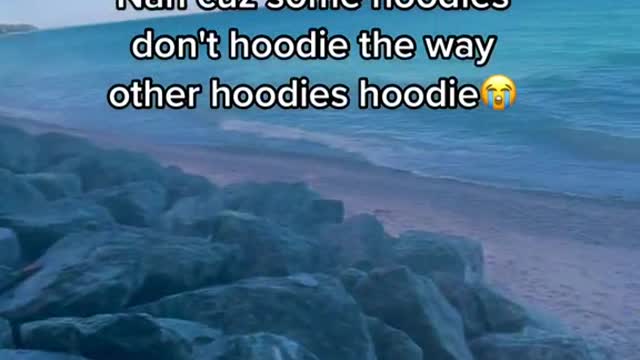 Nah cuz some hoodies don't hoodie the way other hoodies hoodie