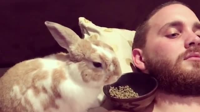 Bunny's Midnight Snack