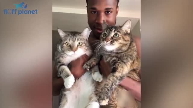 #Dogs #Angry #Cats Angry - Funny Dogs And Cats of TikTok 😮