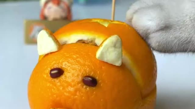 OH CAT CUTTING ORANGE