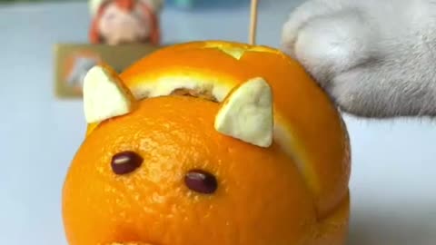 OH CAT CUTTING ORANGE