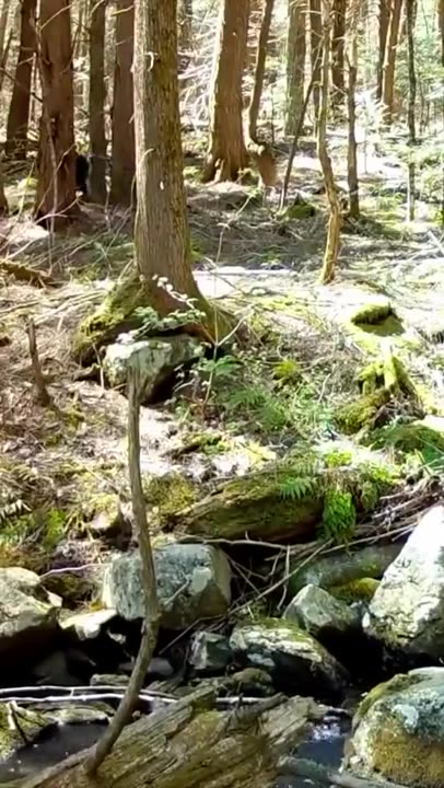 Wait for it 😍😍😍😍