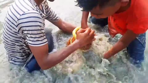Traditional boys catching big catfish by polo! Unbelievable fishing technique