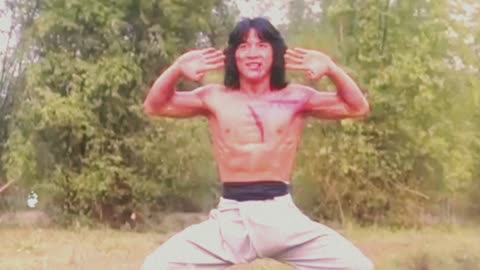 JACKIE CHAN BEST FIGHT AMAZING MOVIE SCENE |JACKIE CHAN VS SHI KWAN YEN