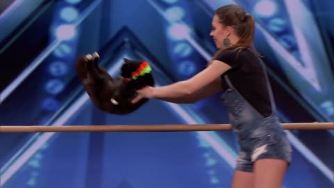 The Savitsky Cats-Super Trained Cats Perform Exciting Routine - America's Got Talent