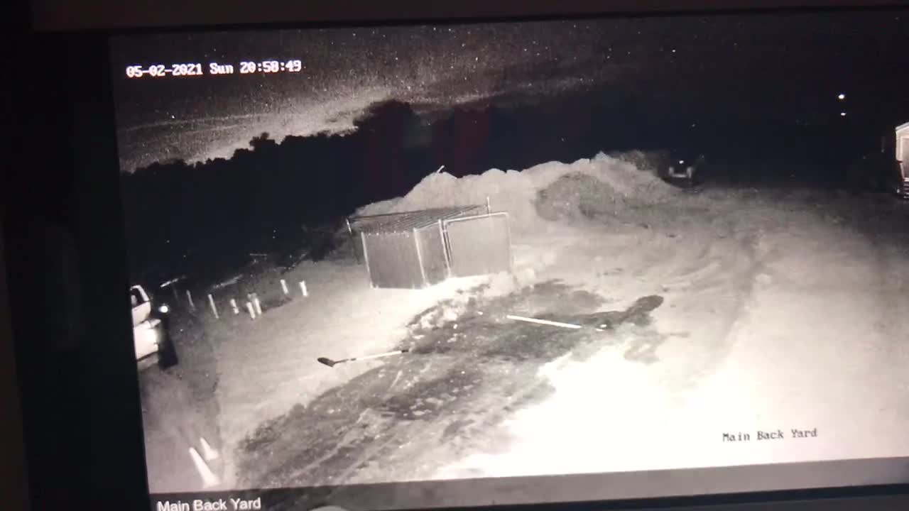 Sunday June 02, 2021 - #31