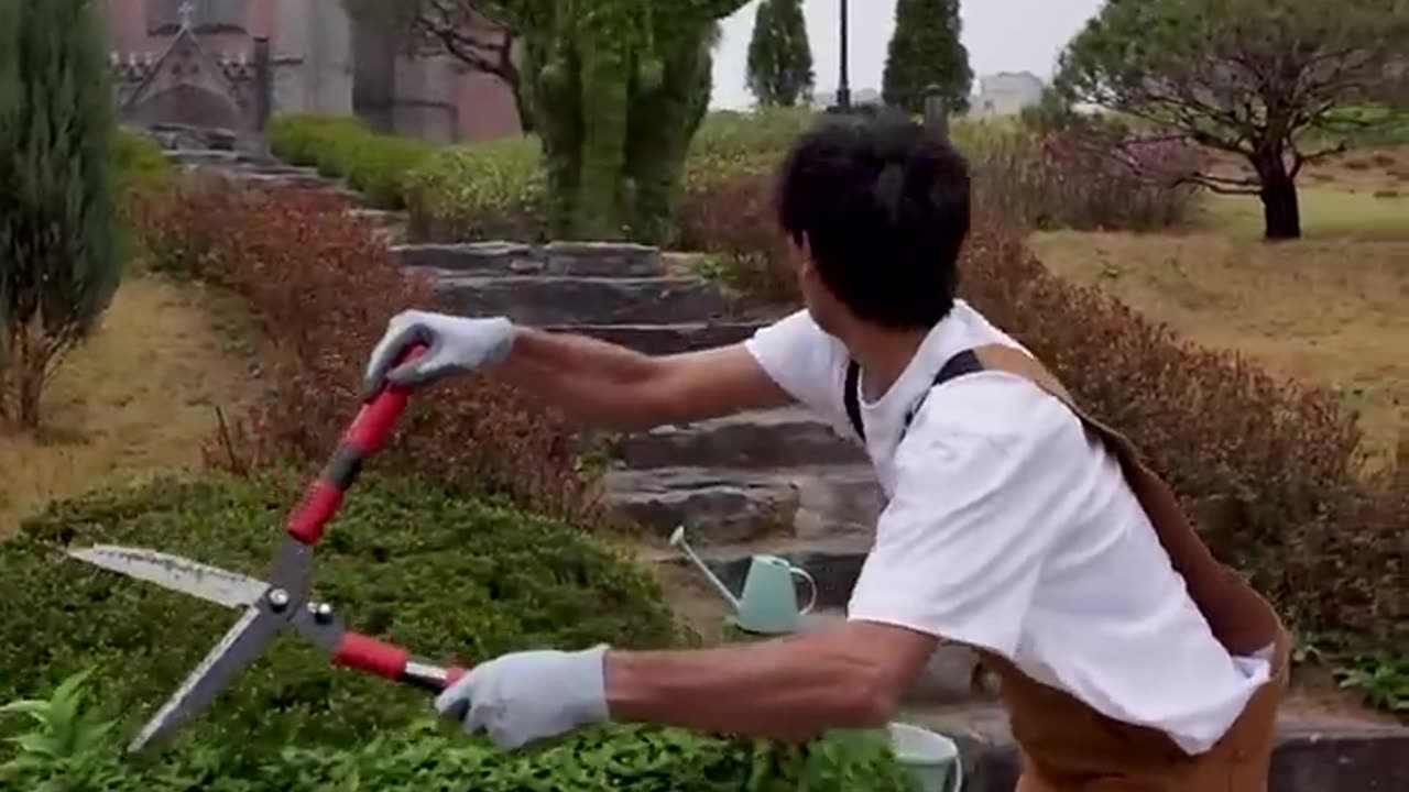 Gardening gone wrong