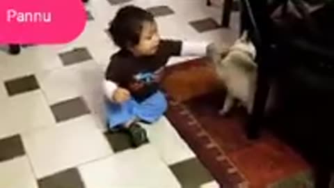 : "Cuteness Overload: Babies and Pets Unleash Laughter in 2020!"