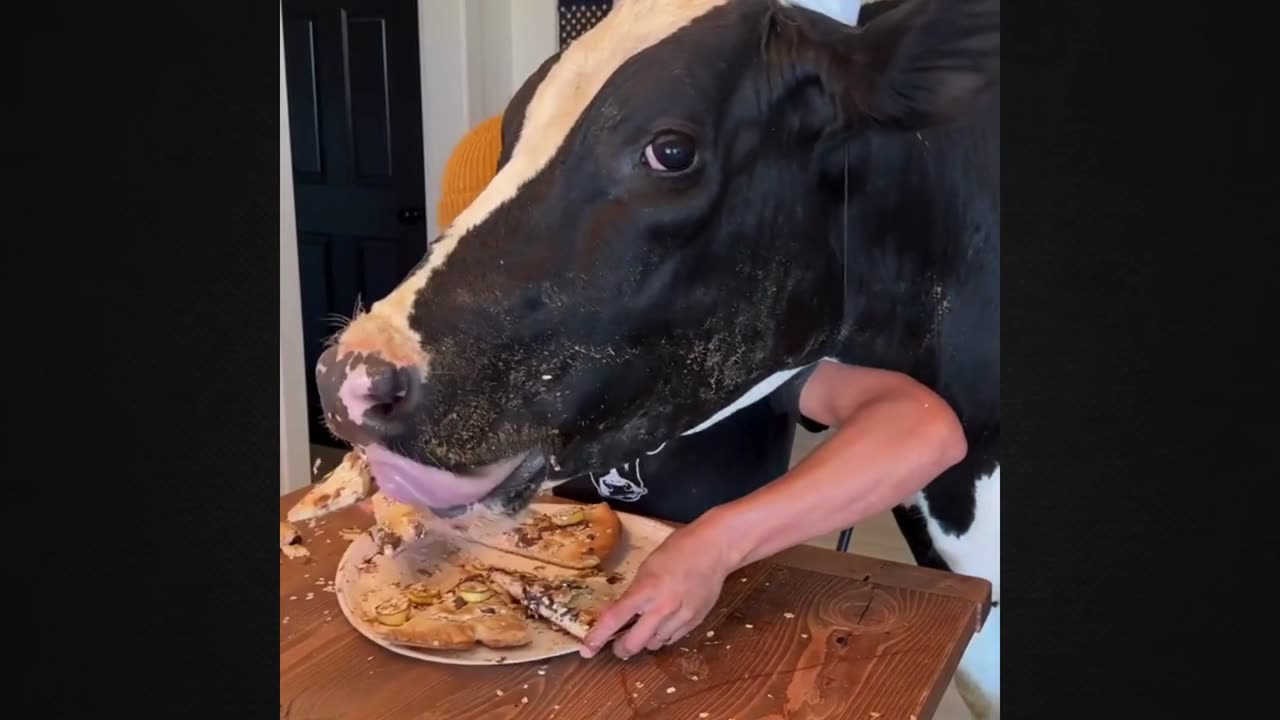 You Won’t Believe It! My Cow is My Best Friend – Funny Moments!