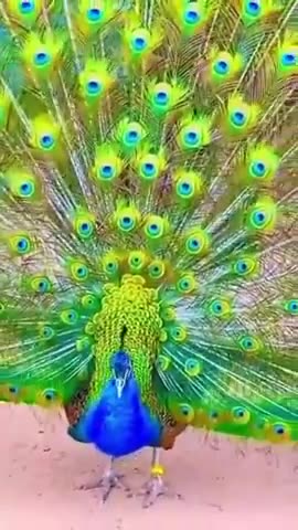 SEEING ADVERSITY FROM GOD'S VIEWPOINT - DAILY DEVOTIONAL ❤️