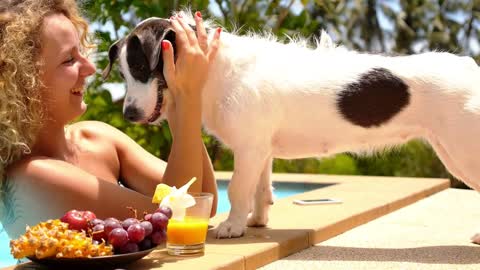 Cute Dog Kissing a Young Cheerful Woman at Summer Poolside