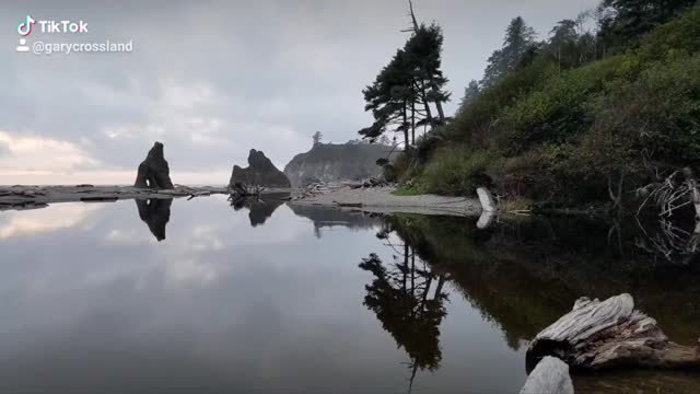 Ruby Beach reflection