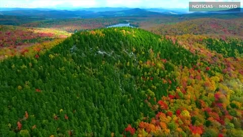 Outono vive de paisagens coloridas