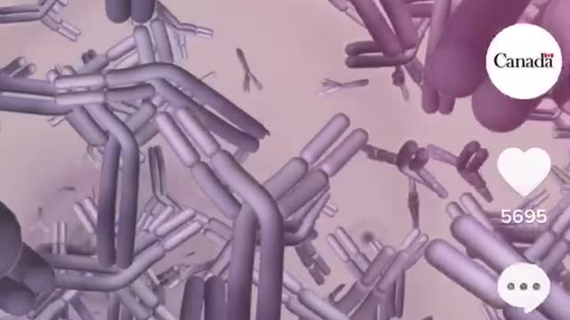 Get over it government of canada