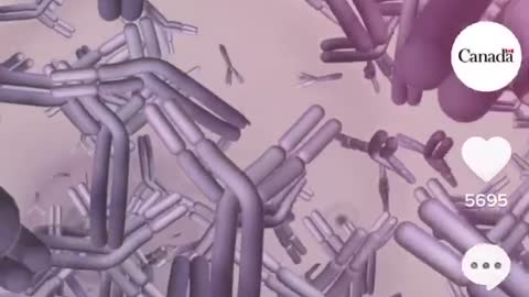 Get over it government of canada