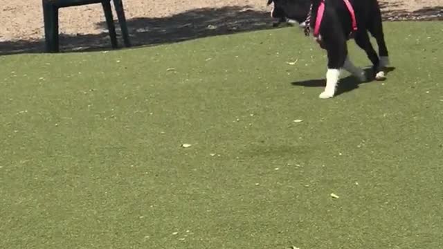 2021 Kennon Anniversary 12