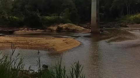 30.6.2024 The Barron River, Kuranda (3)