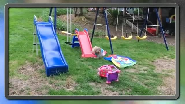 funny video clip of cute baby amazing fails