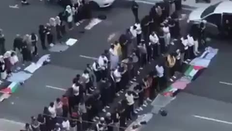 There are 741 mosques in Canada, but Muslims block traffic and pray in the