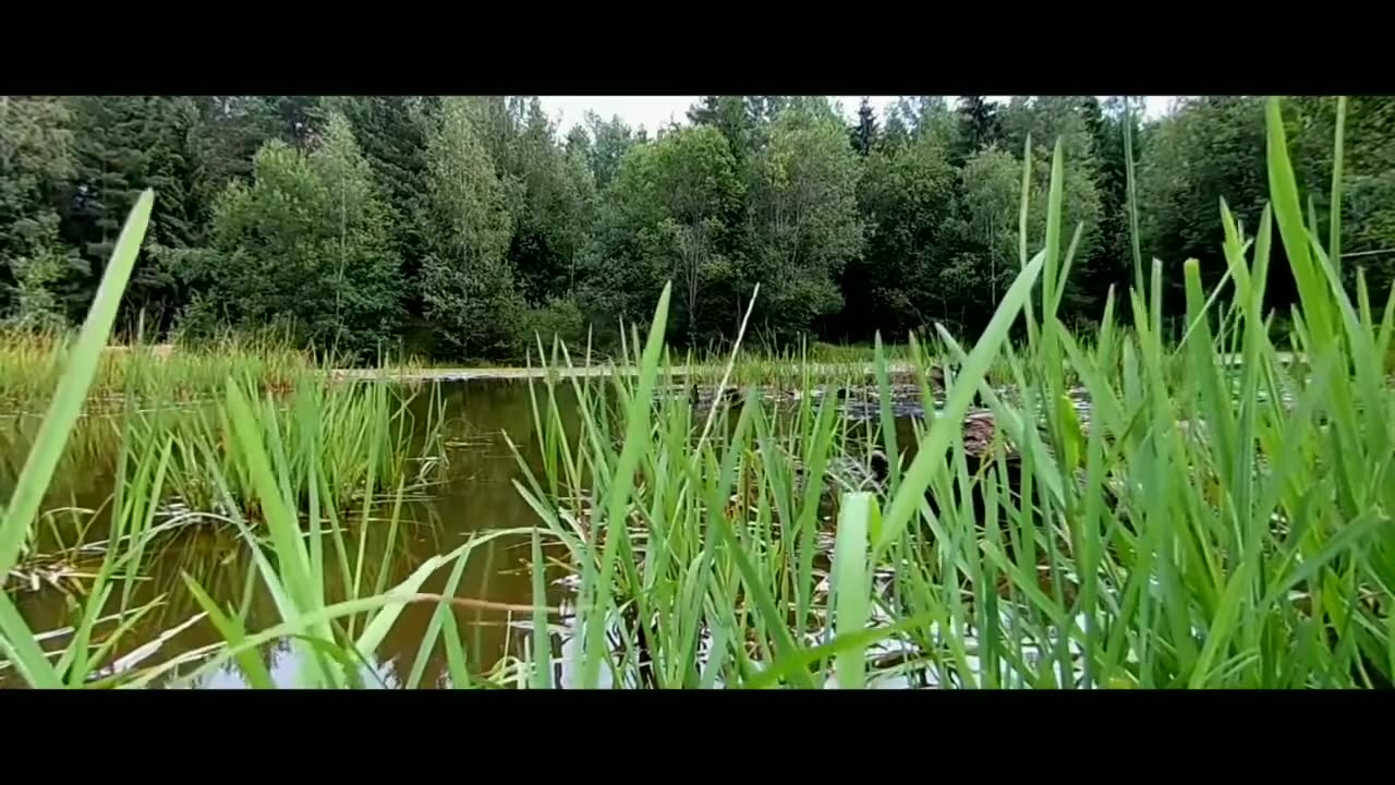 amazing nature videos of the world 4k _ Study Music _ relaxing music _ Songs