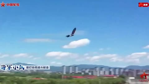 Chinese military bird drones 😡😱