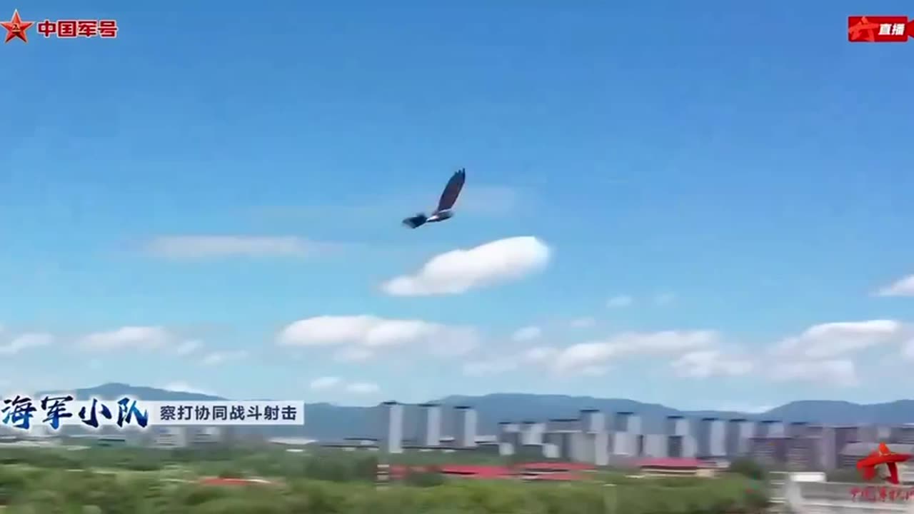 Chinese military bird drones 😡😱