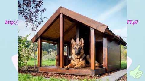 Free Dog House Plans For German Shepherds