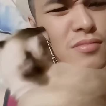 have a sweet rest 🥰 Join 👉 Funny Videos