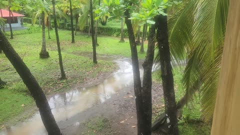 Our Lake and River