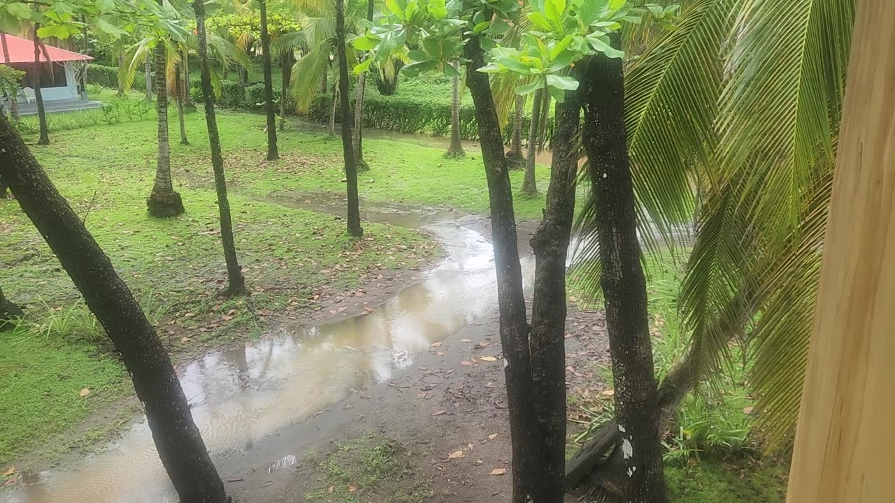 Our Lake and River