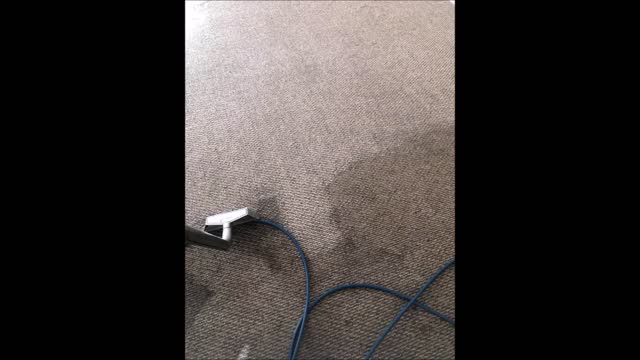 All Surface Pros Carpet Cleaning Service and Restoration Company - (812) 397-7722