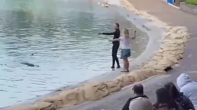 Dolphin Show :THIS CHILD WAS PICKED FROM THE CROWD