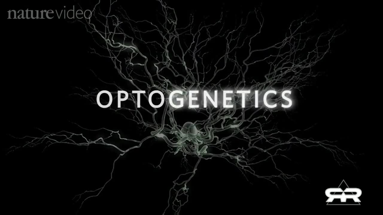 Optogenetics and the Secret Worldwide Nanotech Experiment