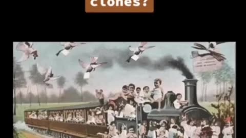 Is The Reset Population Clones?!