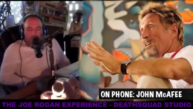 Joe Rogan Podcast Episode 290