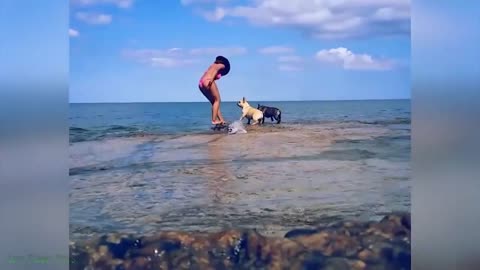 😂 Funniest Cats and Dogs Videos 😺🐶 #13