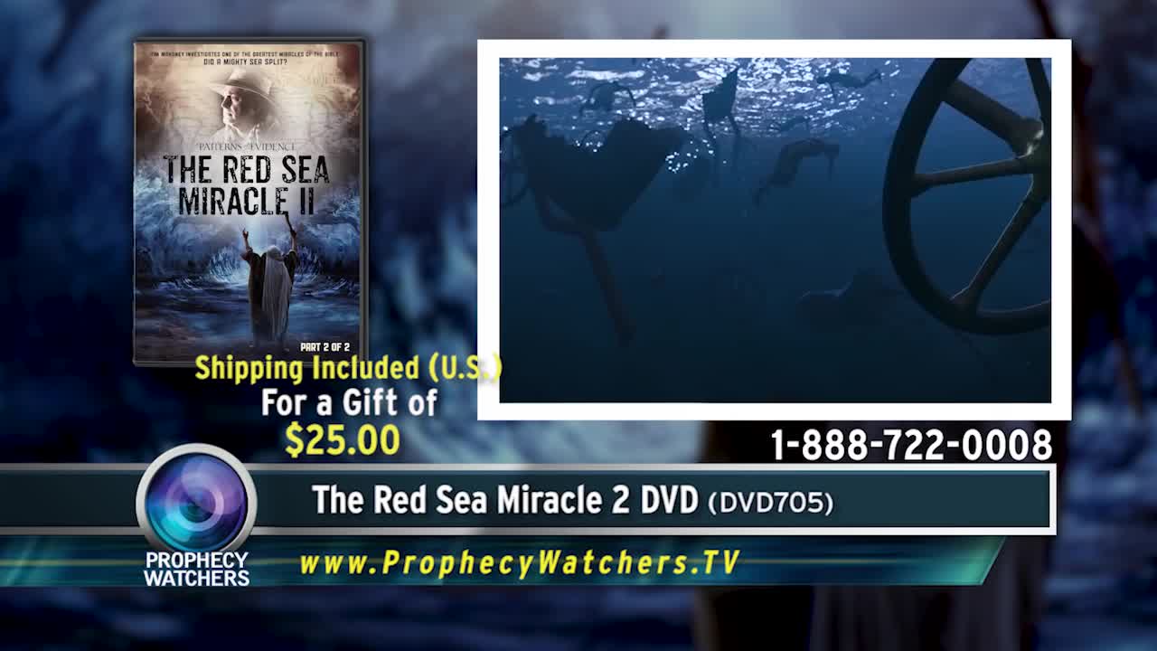 Tim Mahoney- Chariot Wheels at the Bottom of the Red Sea!