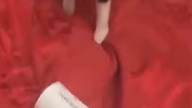 PET FUNNY MOMENTS