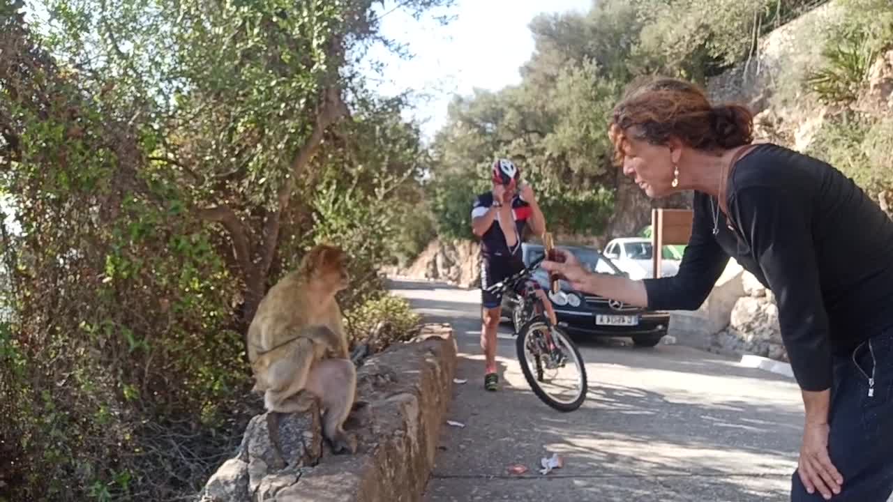 Apes Den October 2022