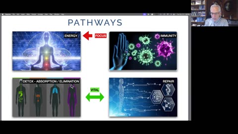 224. Nutrient Deficiency as THE MAJOR Driver of Chronic Diseases - Silent Hunger