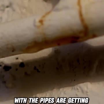 The Heart is a powerful force.