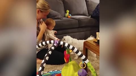 Dogs And Babies Are Best Friends Dogs are so cute
