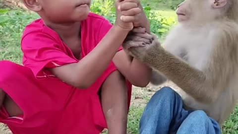 Animal best in the world