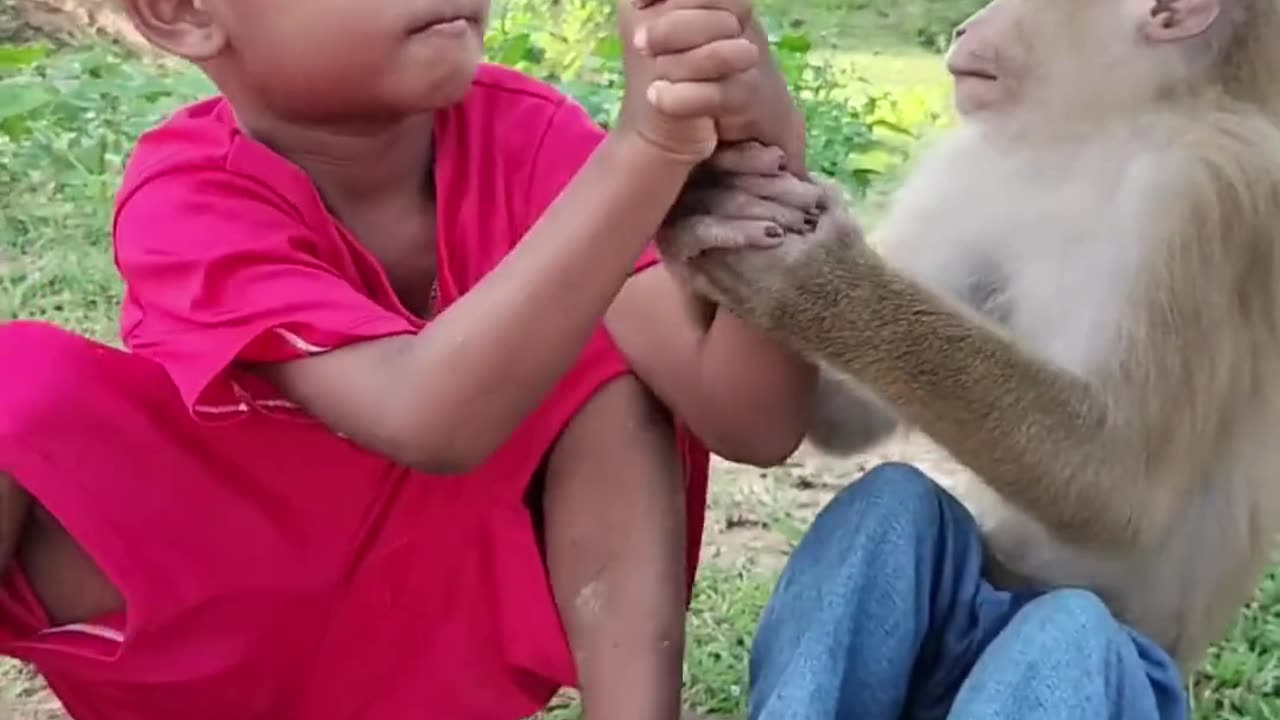 Animal best in the world