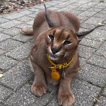 Don't mess around with me